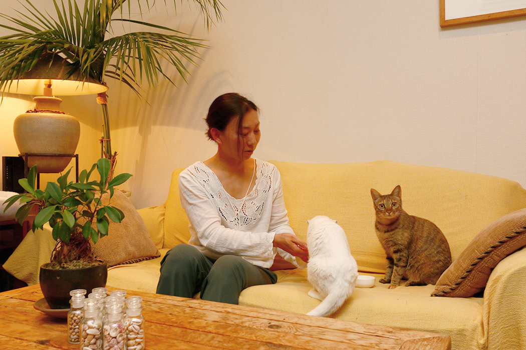 猫とふれあう!